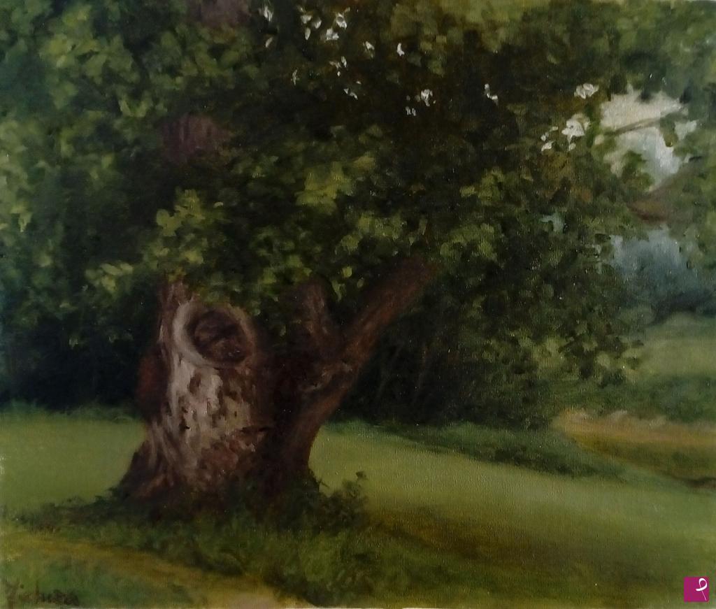 quadri in vendita online - Vecchio albero lungo l'Arno.