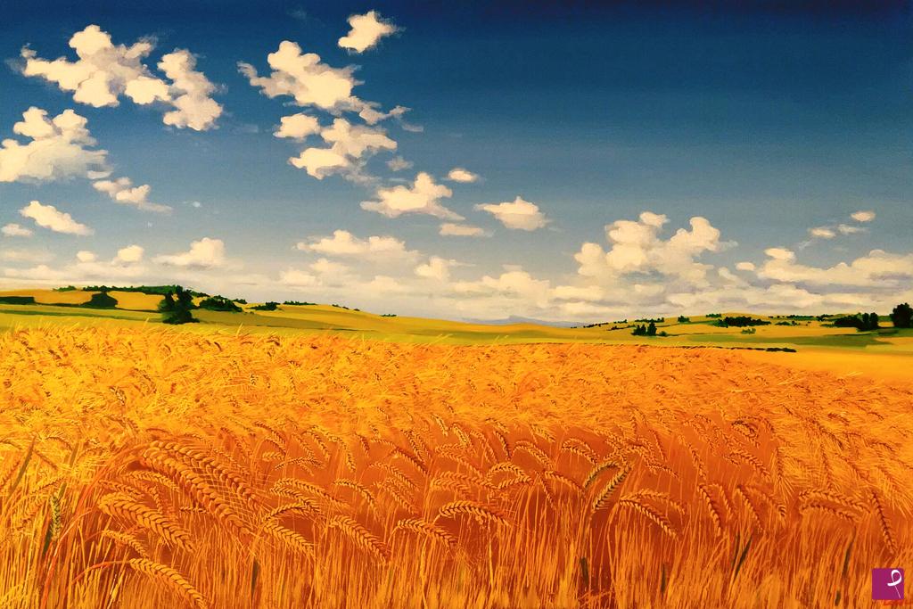 quadri in vendita online - vento e grano