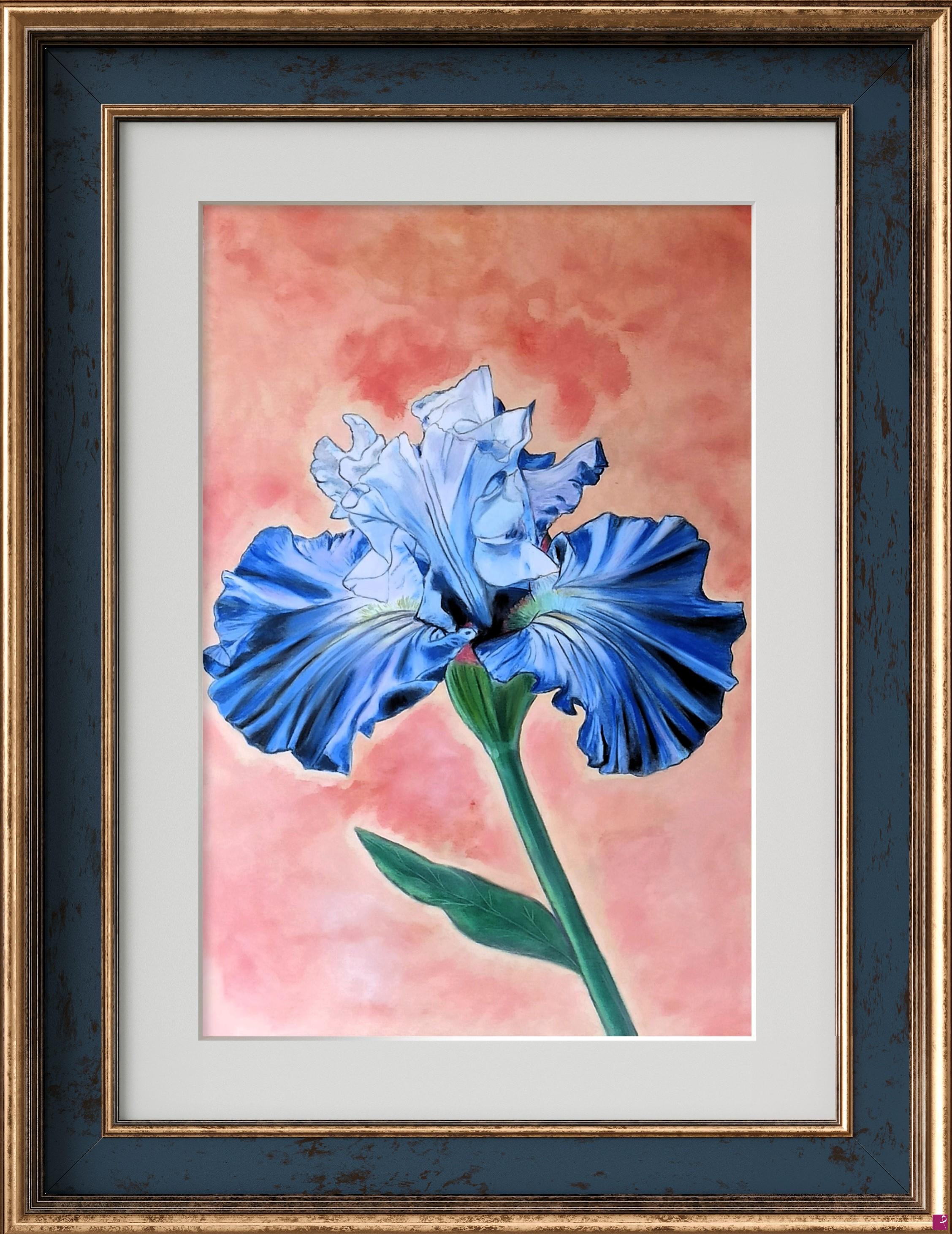 quadri in vendita online - VIOLA IRIS  
