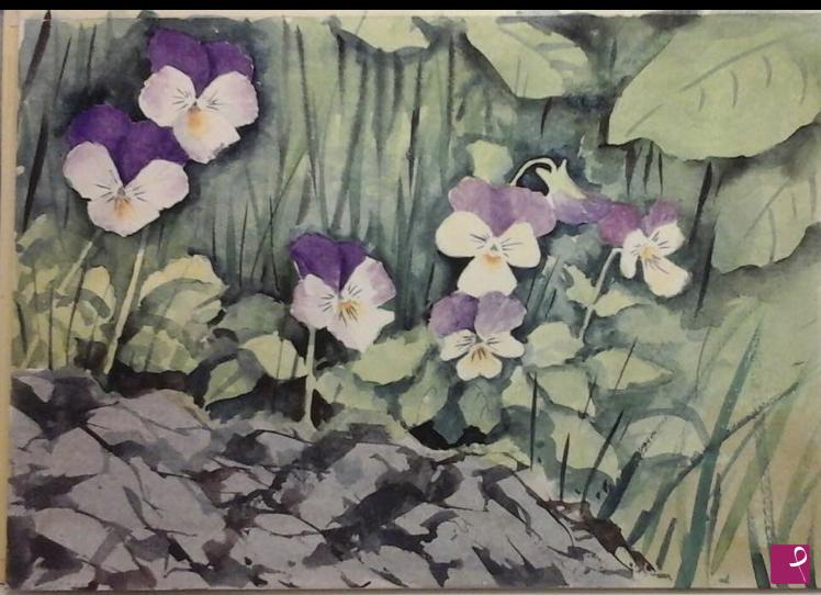 quadri in vendita online - Viole del sotto bosco