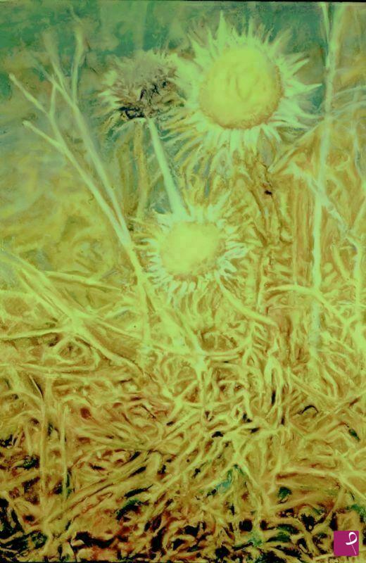 quadri in vendita online - Vitalismo naturale: fiori di cardo