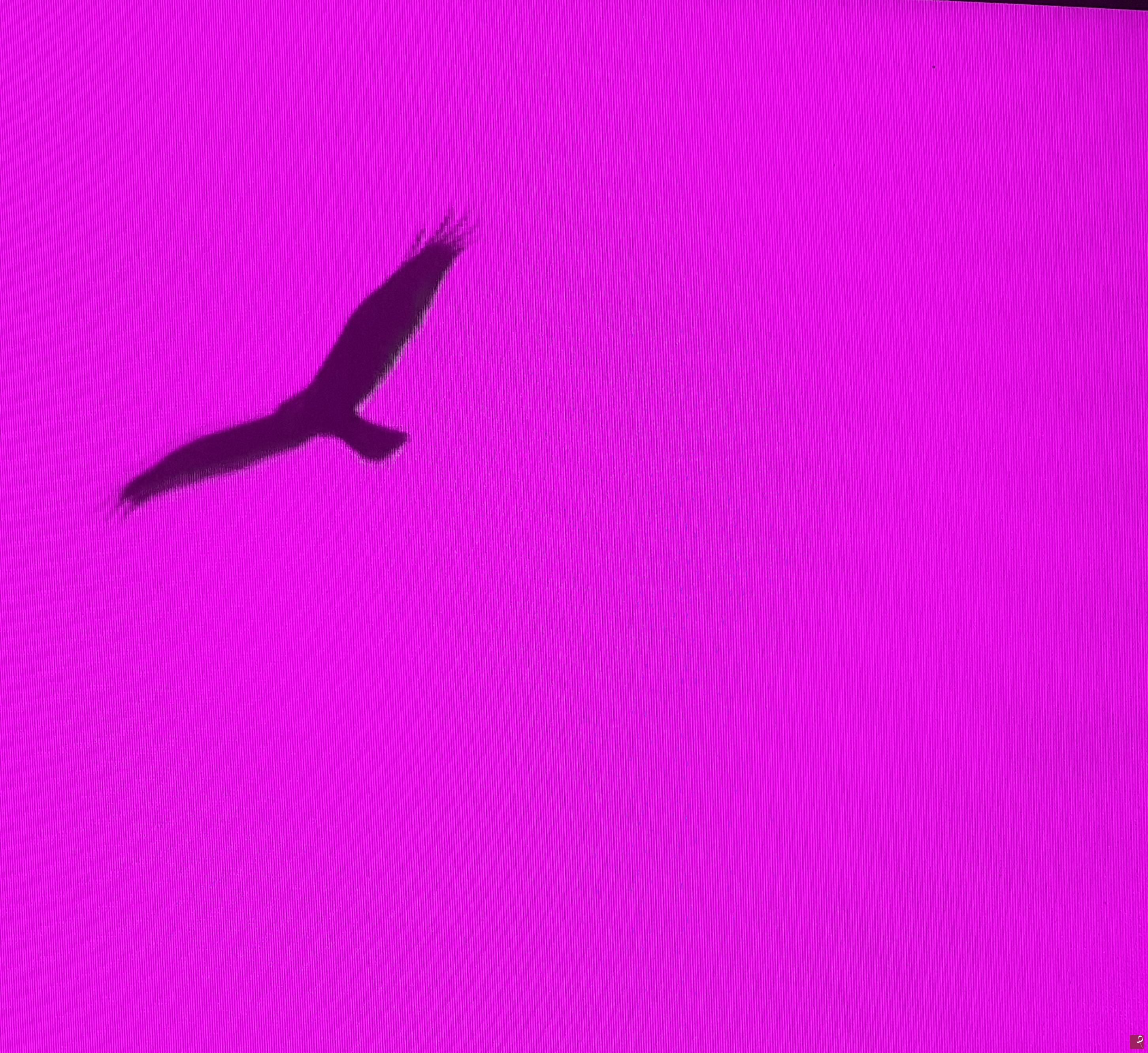 quadri in vendita online - Volare....