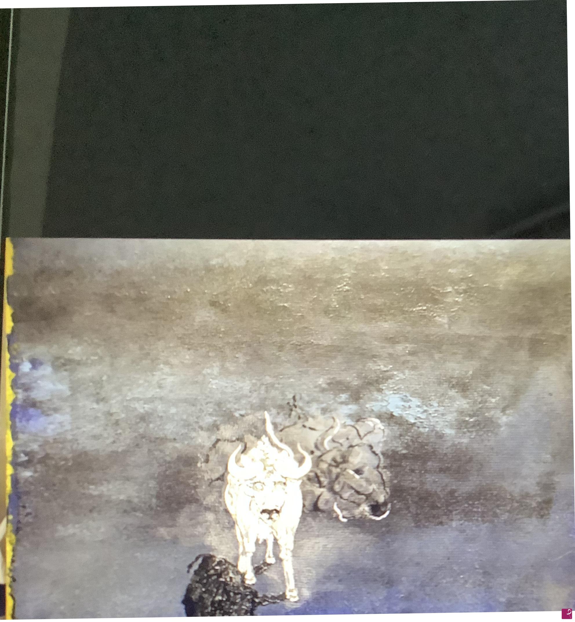 quadri in vendita online - White Buffalo
