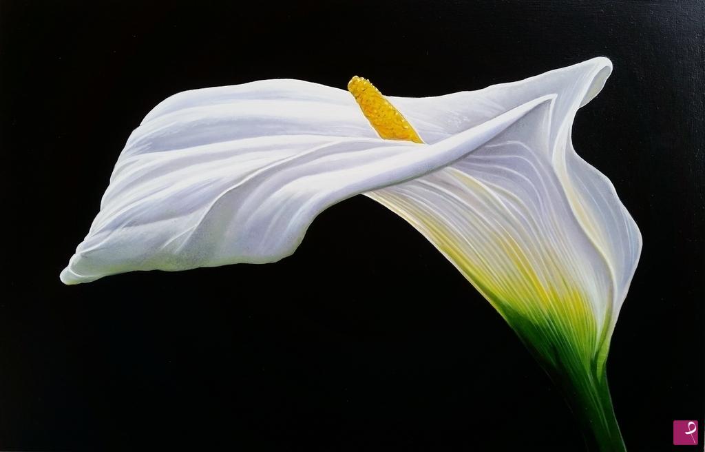 quadri in vendita online - "WHITE CALLA"