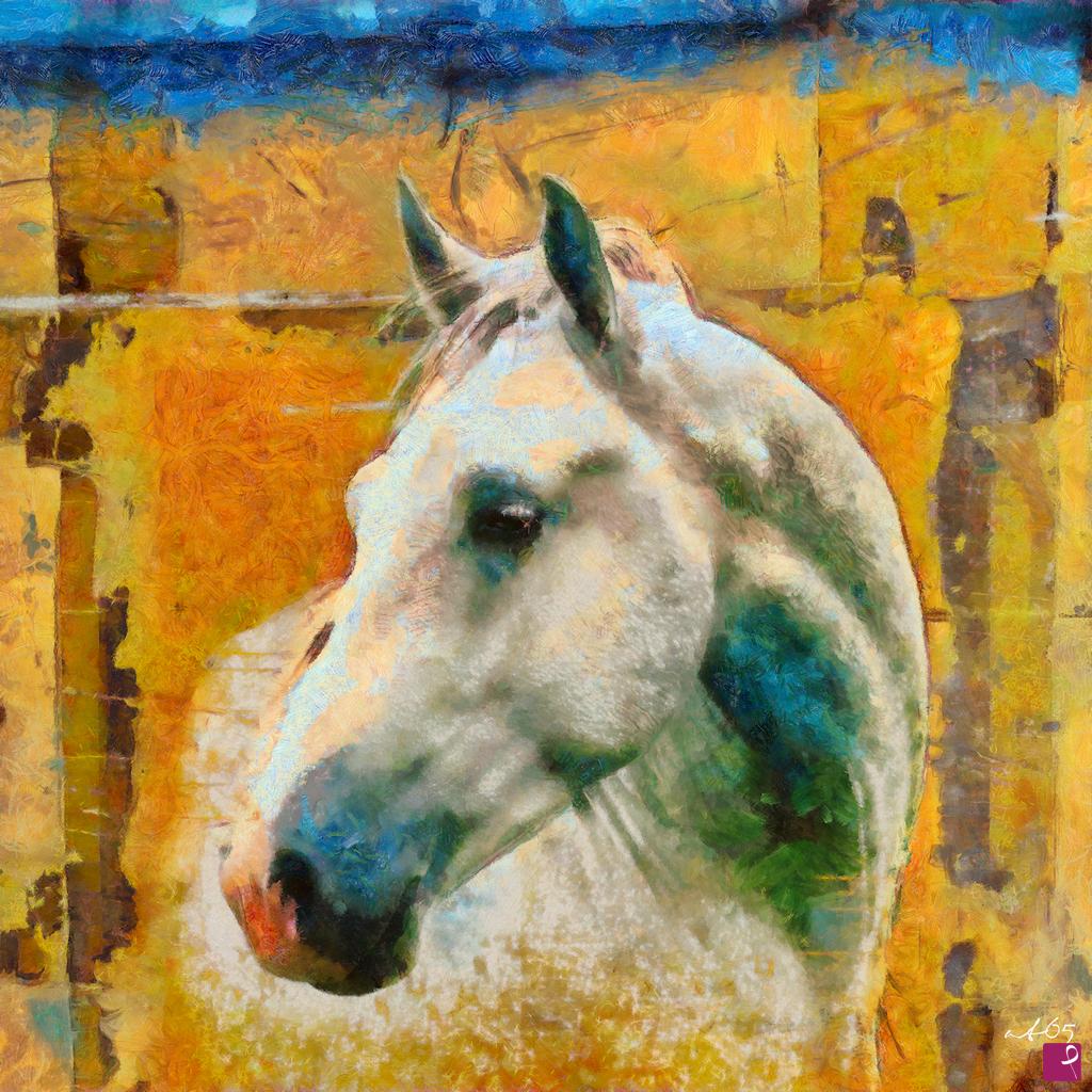 quadri in vendita online - White Horse