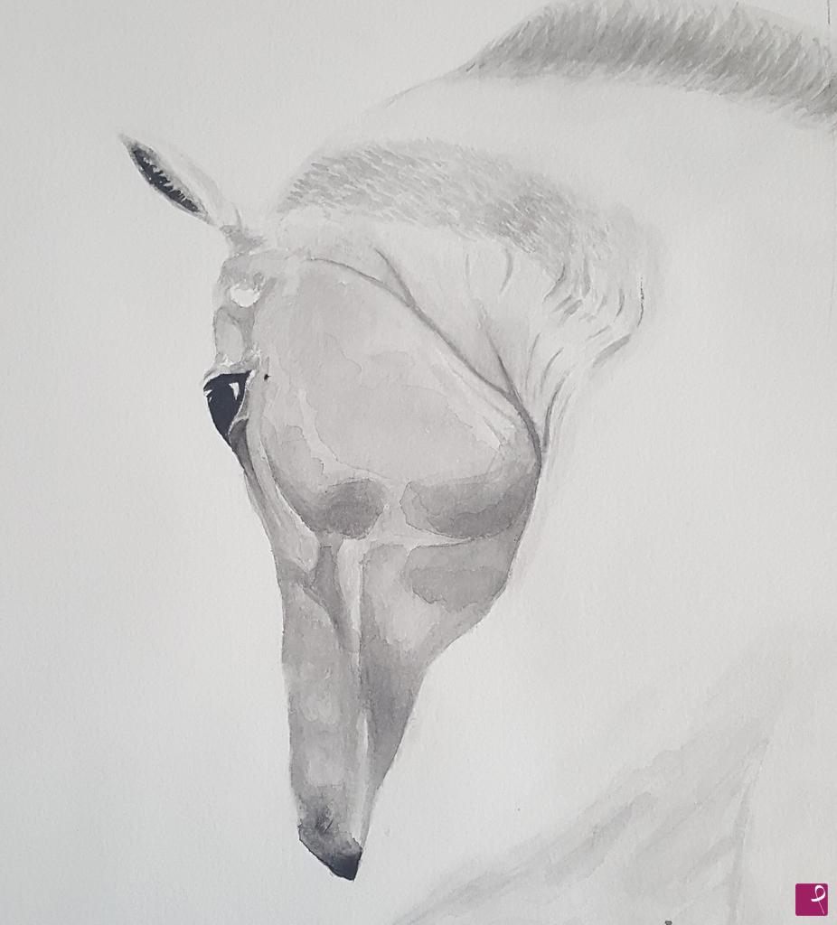 quadri in vendita online - White Horse 