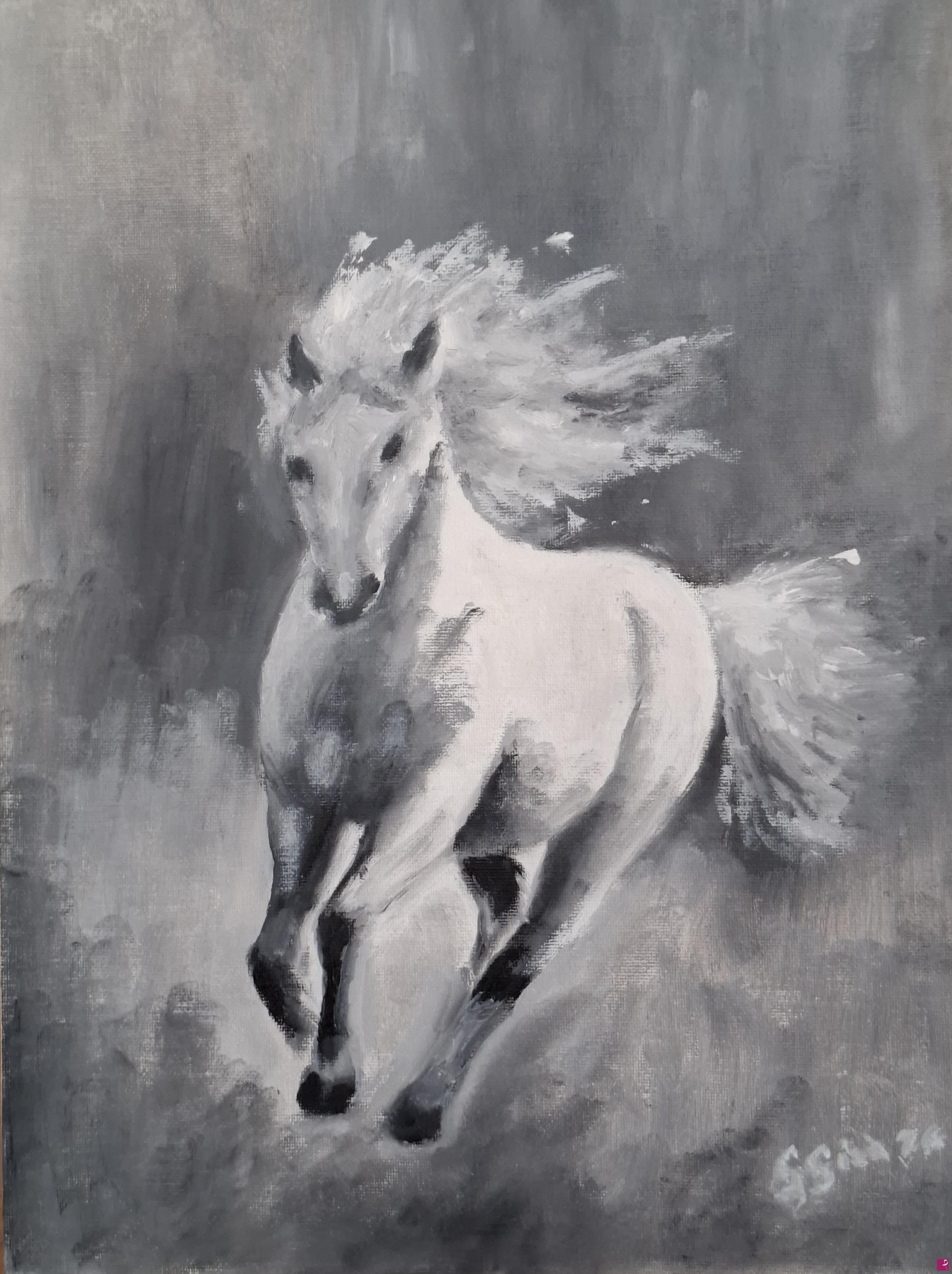 quadri in vendita online - White horse in the wind