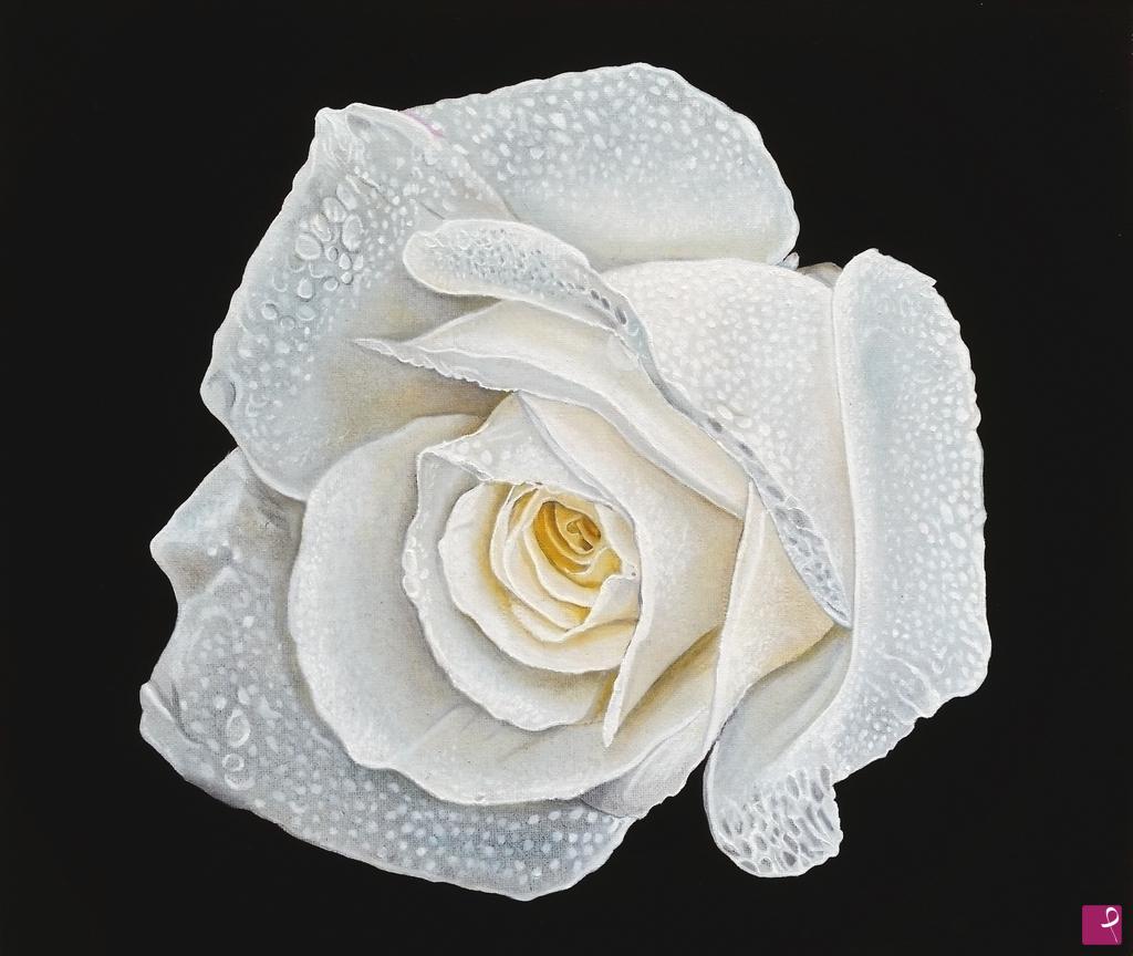 quadri in vendita online - "WHITE ROSE II"