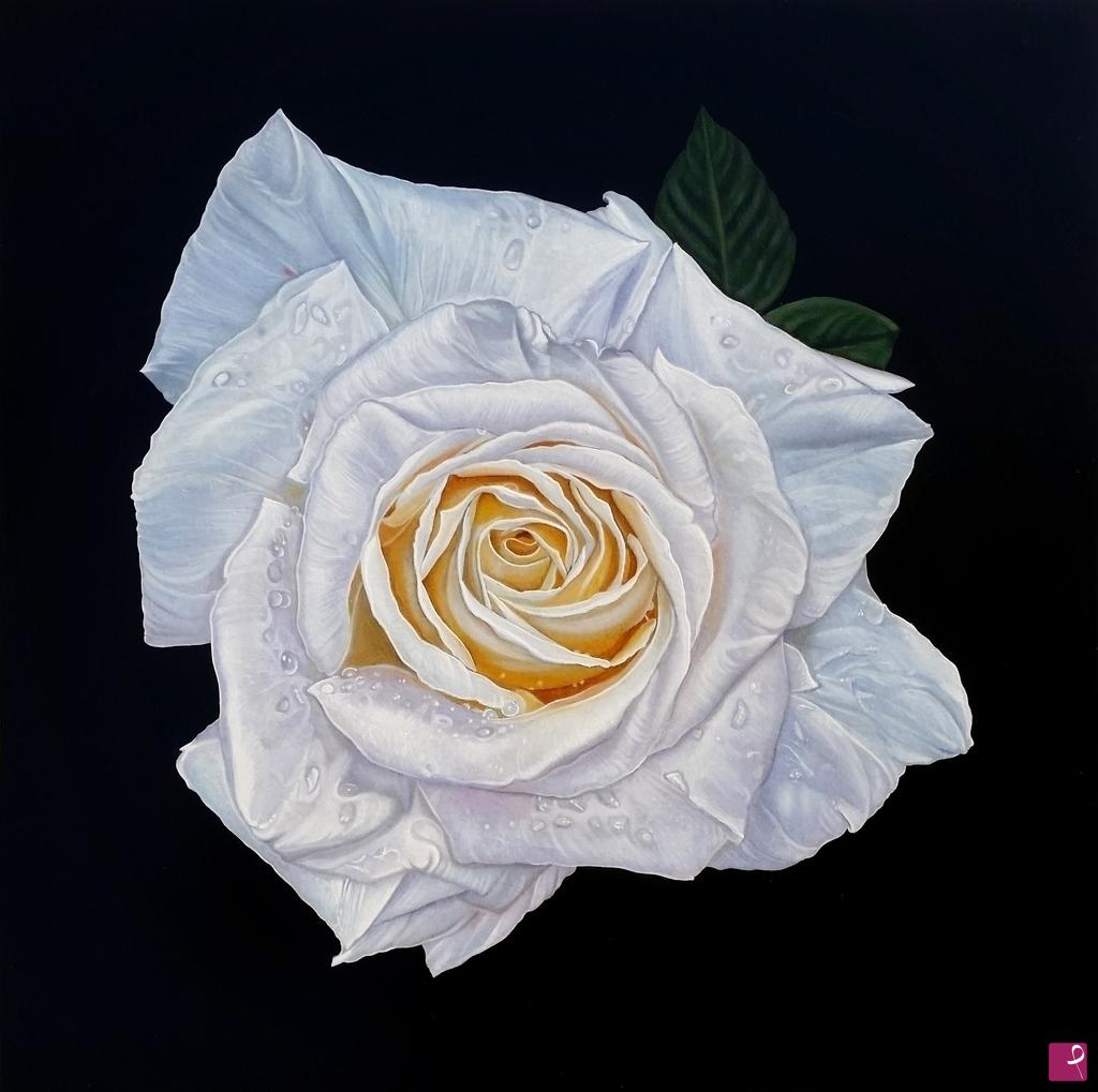 quadri in vendita online - "WHITE ROSE III"