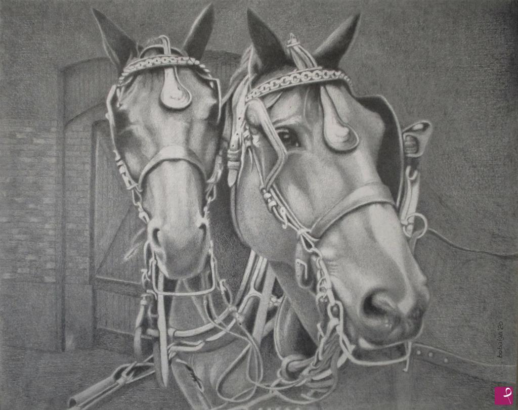 quadri in vendita online - Wild horses (traino della carrozza reale svedese)