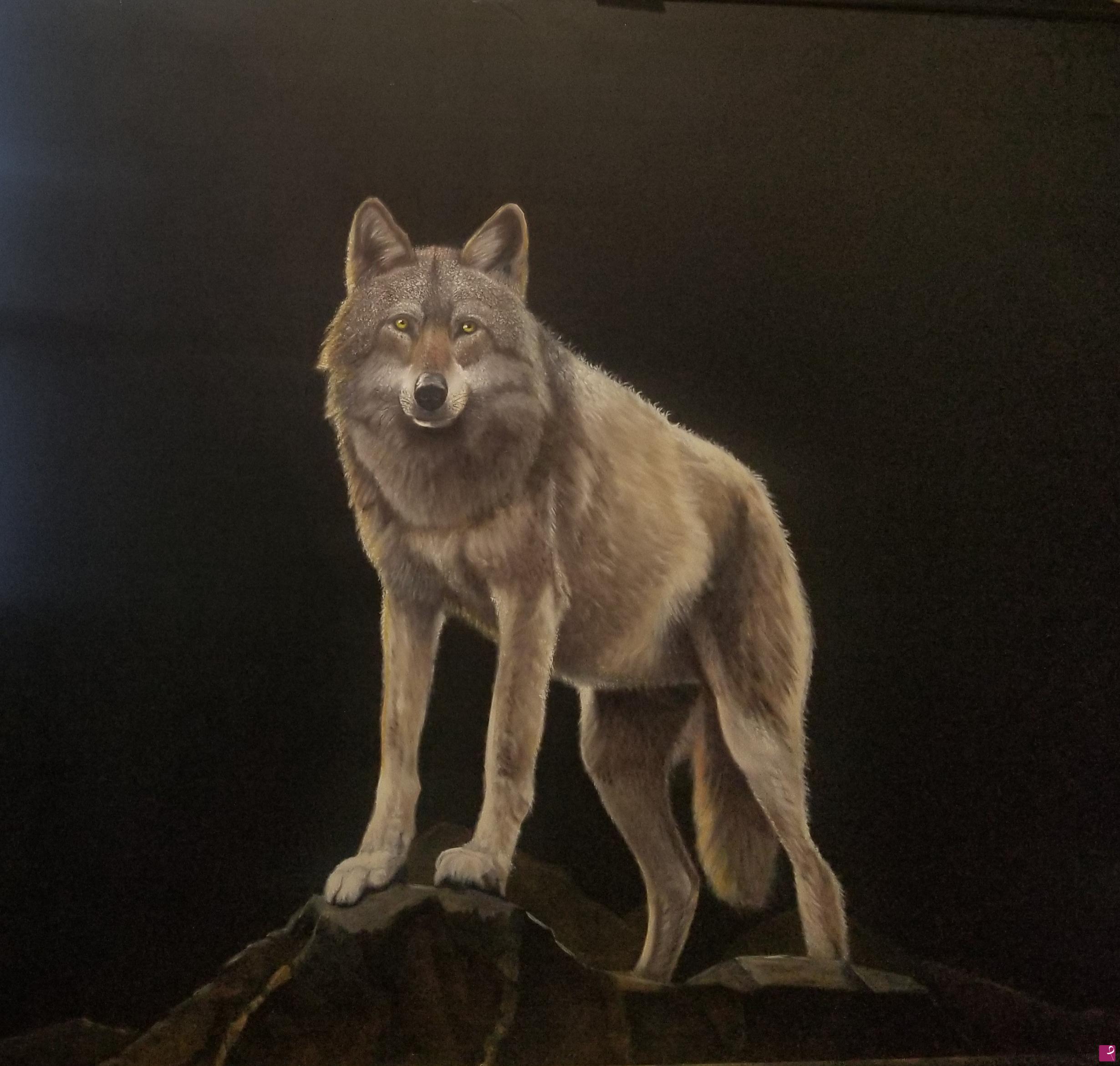 quadri in vendita online - Wolf