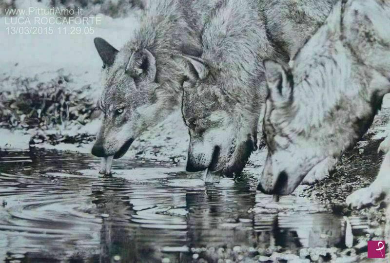 quadri in vendita online - WOLVES AND WATER