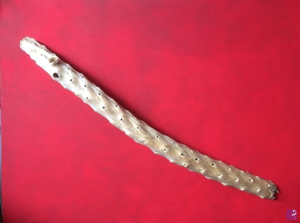 quadri in vendita online - " ZANNA "