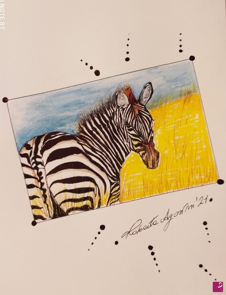 quadri in vendita online - Zebra
