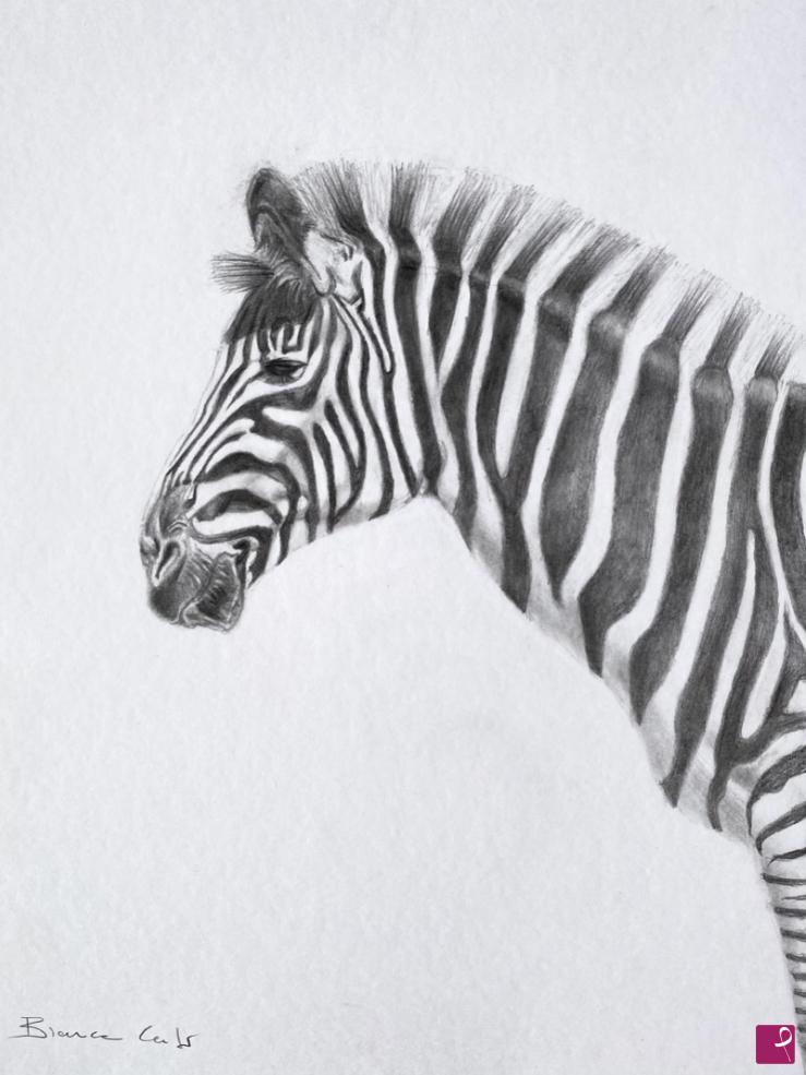 quadri in vendita online - Zebra