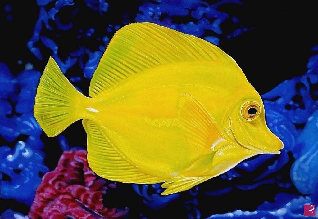 quadri in vendita online - "ZEBRASOMA FLAVESCENS" 