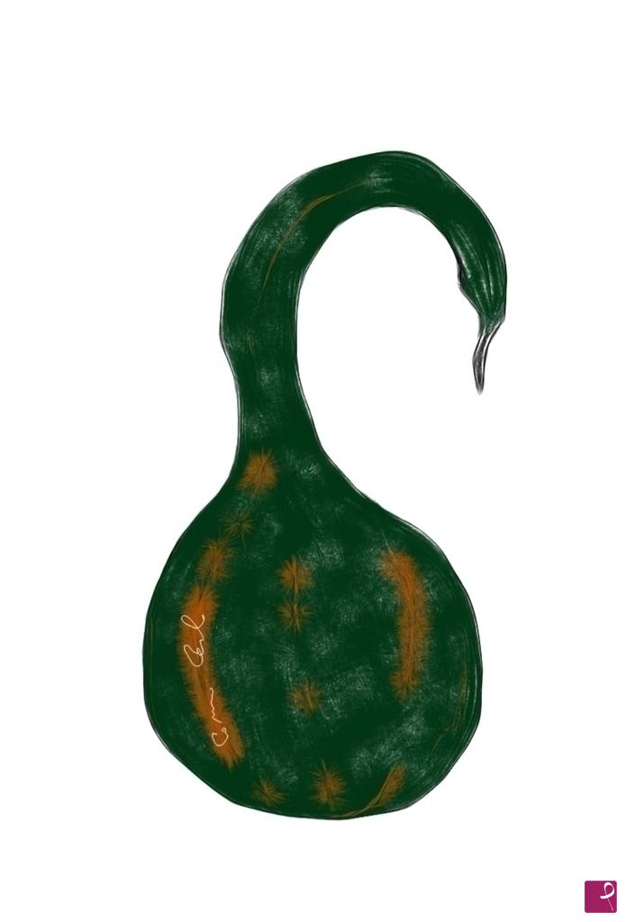 quadri in vendita online - Zucca Decorativa